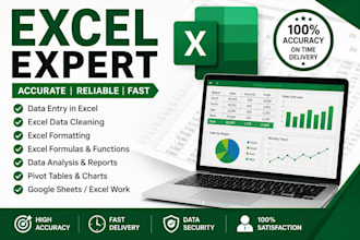 do excel data entry, formulas, formatting and charts