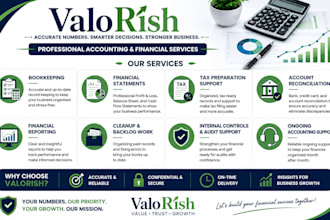 be your virtual professional accountant for bookkeeping