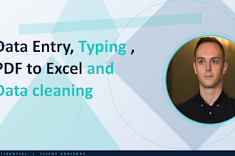 do data entry, typing, pdf to excel, copy paste