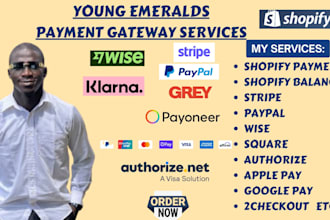 setup, configure, integrate shopify payment, shopify balance, stripe paypal wise