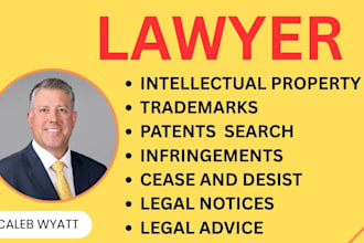be intellectual property, trademark, patent and copyright infringement lawyer