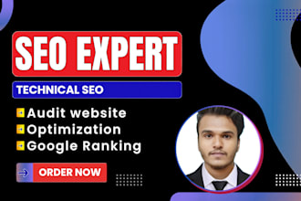do a complete website audit, SEO audit and google ads audit