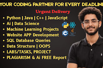 do assigned programming python machine learn java cpp sql database web developer