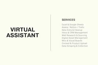 be your virtual assistant for data entry, research, and task management