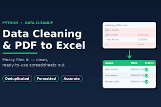 do data cleaning, excel formatting, and PDF to excel conversion