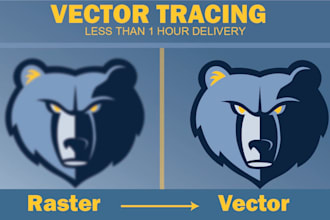 manually draw vector tracing or convert to vector quickly