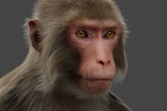 create realistic 3d animal models with xgen fur grooming in zbrush blender maya