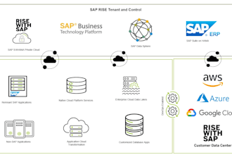 be your experienced sap  basis consultant