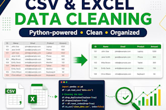clean and organize CSV or excel data using python