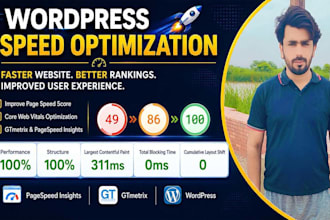 do wordpress speed optimization for google pagespeed insight