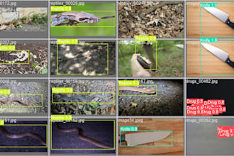 build computer vision and yolo object detection projects