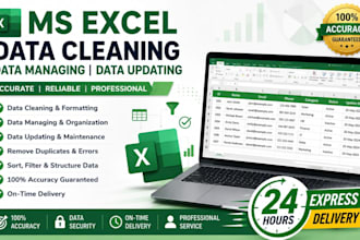 provide advanced excel data cleaning, management and automation support
