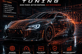 do professional egr off ecu solutions
