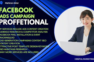 set up and manage your facebook ads campaign professionally