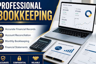 do professional bookkeeping and maintain accurate financial records