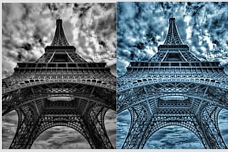professionally colorize old black and white photos