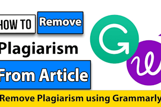 remove ai, plagiarism, and humanize any content