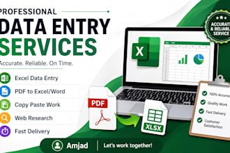 data entry, excel data entry