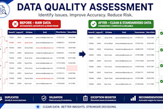 perform a data quality assessment of your excel data