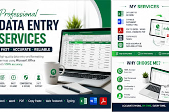 do microsoft excel data entry, formatting, and analysis