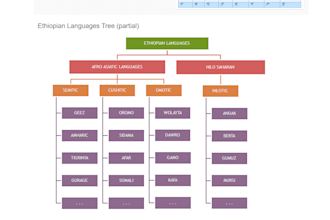 validate ai amharic translation