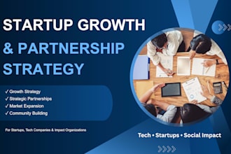 provide professional business consulting services