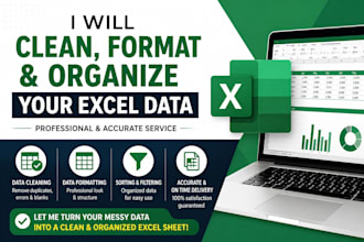 do professional microsoft excel data entry, formatting,