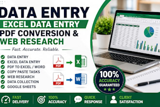do accurate data entry, excel data entry and PDF conversion