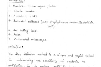 write anything with my perfect handwritting