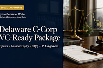 professionally draft your delaware c corp venture ready package
