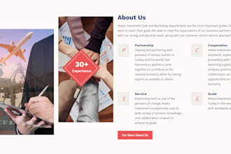 do your website with custom development