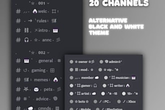 setup your discord server professionaly
