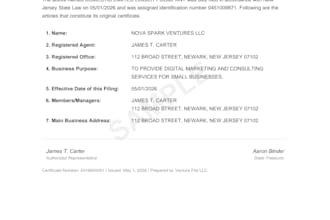 form your new jersey llc and handle your business compliance