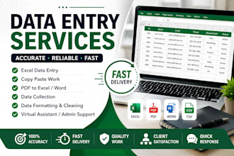 excel data entry, payroll processing, data management