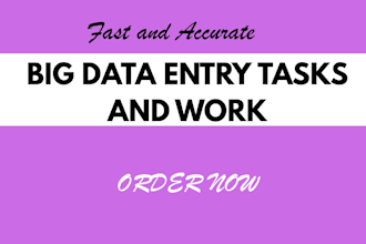 do fast and accurate big data entry work and task