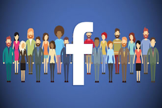 do facebook promotion to the targeted audience