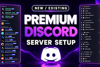fully setup a professional discord server