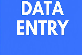 excel data input service