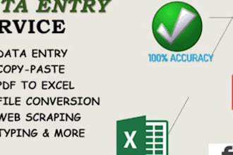 expert excel data entry