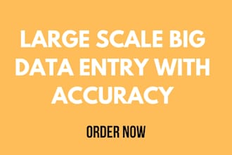 manage large scale, bulky and big data entry for you