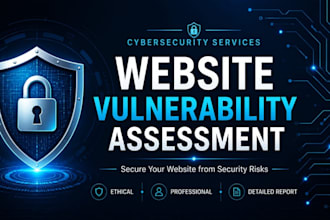 perform a website vulnerability assessment