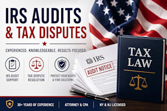 help with irs audits and tax disputes