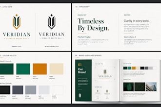 design a professional brand identity, business logo and full branding kit