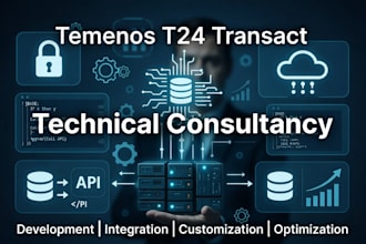 provide temenos t24 transact technical consultancy and development support