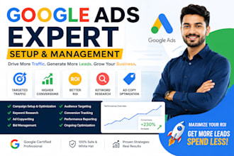 set up and optimize google ads campaign for sales and leads