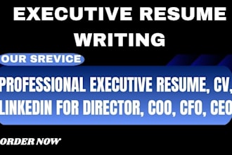provide a professional executive resume in 24hr and CV