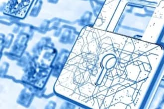 test your website for XSS sql injection and security flaws