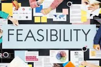 write a professional feasibility report and business plan