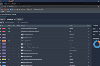 web application penetration testing and vulnerability assessment bug fixes
