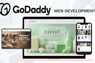 design godaddy website redesign godaddy online store godaddy expert landing page